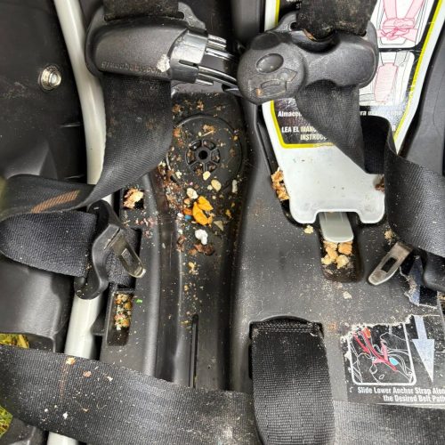 WhatsApp Image 2025-12-21 at 1.35.06 AM (2)