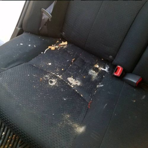 WhatsApp Image 2025-12-21 at 1.35.06 AM